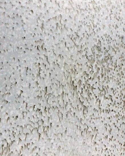 Neue Texturen White Pearl und Black Pearl: zwei Farben, die nie aus der Mode kommen - Plastic guys