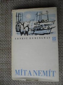 Hemingway Ernest - Mít a nemít - Knihy
