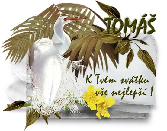 přání -Tomáš