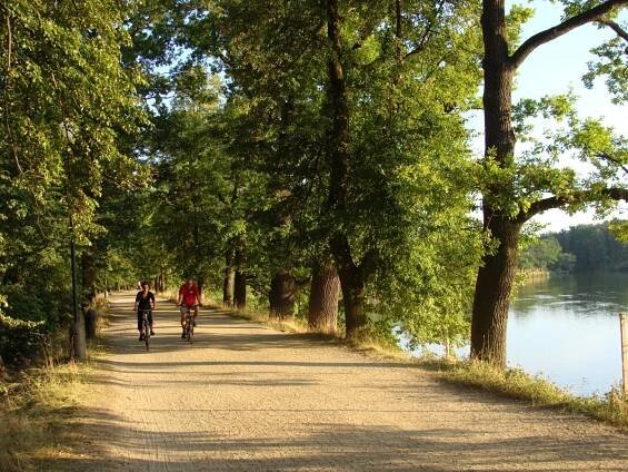 Třeboňsko.cz: Pravidla chování pro cyklisty a cykloturisty | Třeboň a okolí - Třeboňsko.cz