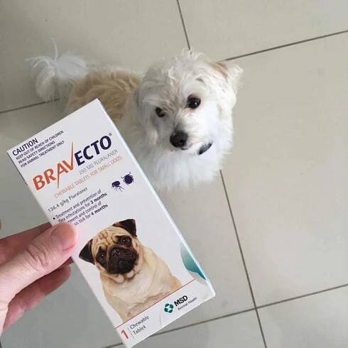 bravecto recenze veterinářů