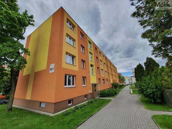 Pronájem Byt 2+1, Vinohradská, Litvínov - Horní Litvínov, okres Most