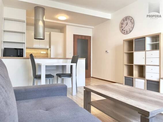 Pronájem bytu 2+KK 55 m 2  - ul. Rumiště, Brno-střed - velký náhled 2
