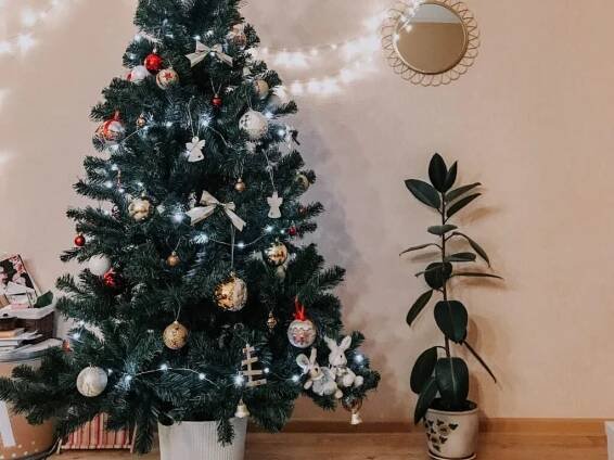 Jsou ekologičtější skutečné nebo plastové vánoční stromky?
