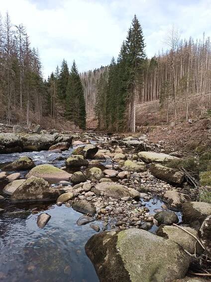Photos • Vydra (River) • Mapy.com