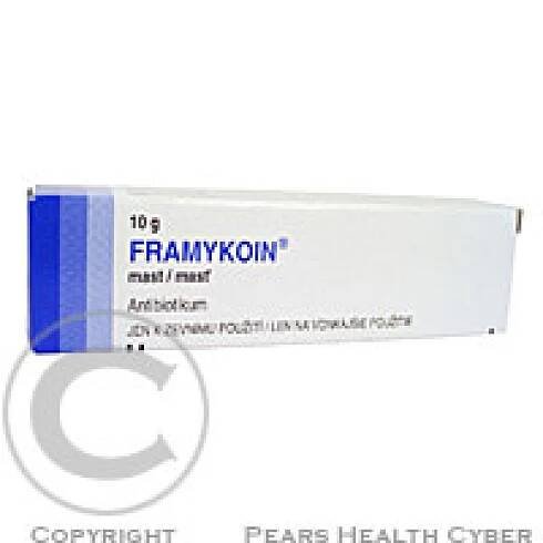 Framykoin mast