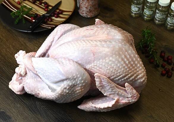 Pastured Turkey