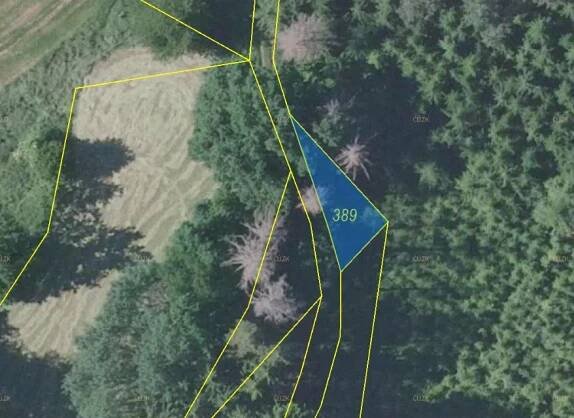 Lesní pozemek o výměře 72 m2, podíl 1/1, k.ú. Velké Heřmanice, okres Benešov | JRdražby.cz