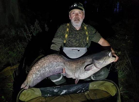 Ulovil sumce na nástrahu typickou pro kapra. Na kuličku boilie
