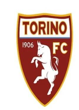 FC Turin