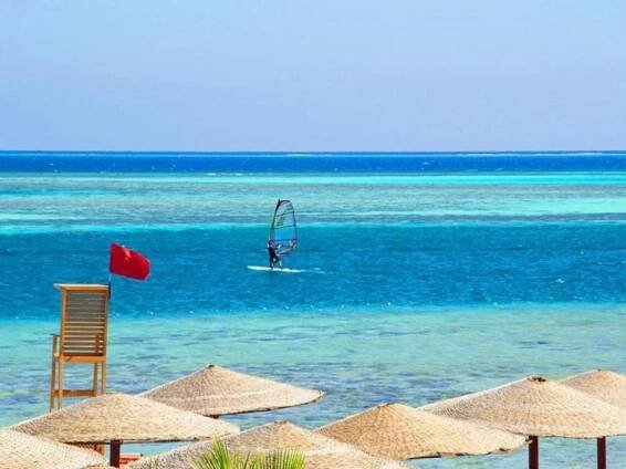 Sea Star Beau Rivage