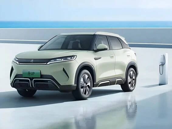 BYD brand picture (1)
