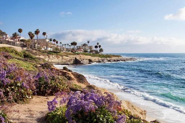 la jolla - jižní kalifornie, spojené státy americké - san diego - stock snímky, obrázky a fotky