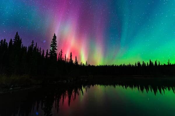 Northern lights above a forest and pond.