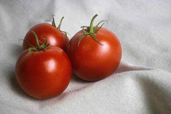 Základová fotografie na téma antioxidant, bílá mísa, čerstvý, červená, cherry rajčata, detail, domácí, fotografie jídla