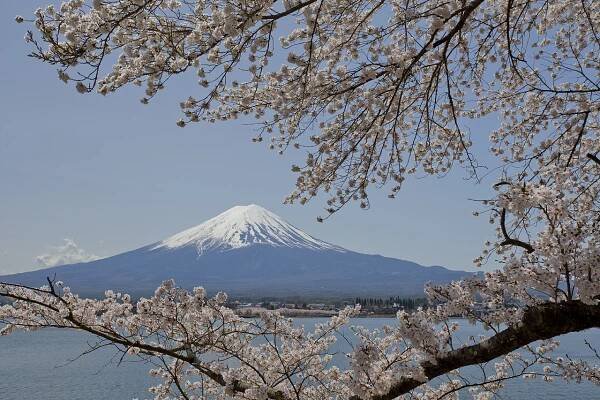 17 recommended places to view Sakura and Mt.Fuji