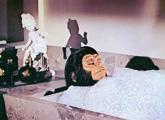 ESCAPE FROM THE PLANET OF THE APES, Kim Hunter, 1971. TM and Copyright (c) 20th Century Fox Film Corp. All Rights Reserved. Courtesy: Everett Collection