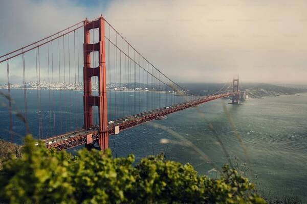 a view of the golden gate bridge from the top of a hill