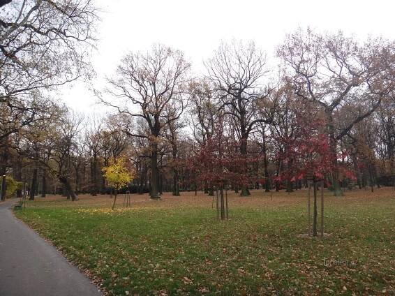 Bohumín park