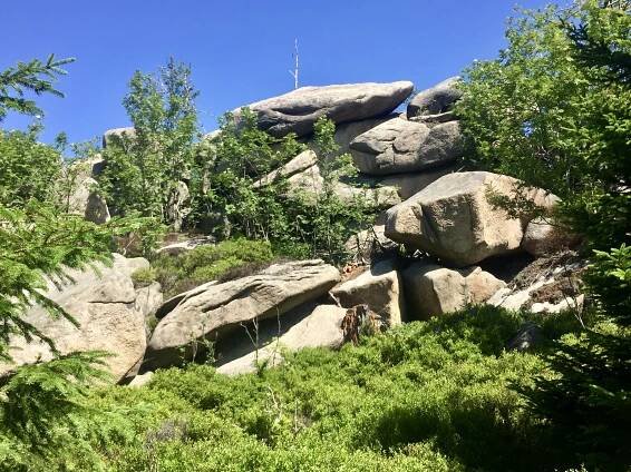Drei Tage Wernigerode – die bunte Stadt am Harz – Harzklub