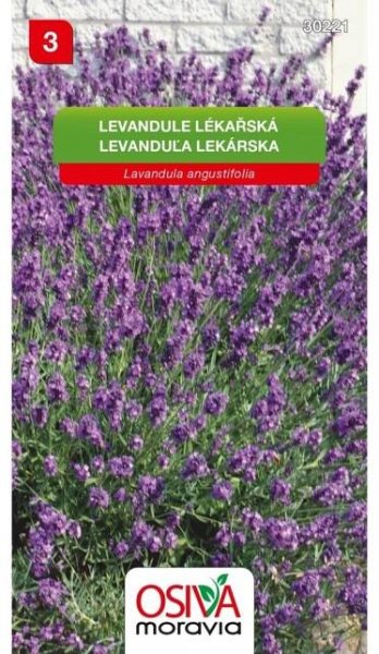 Semínka Levandule lékařská (Levandula angustifolia) nakoupit u OBI