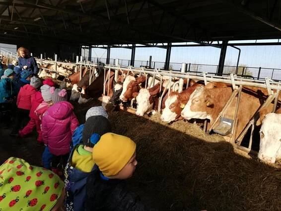Děti z MŠ na farmě - Zš a Mš Raškovice