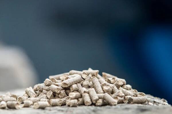 Sugar Sustainably Archives - American Sugar Alliance