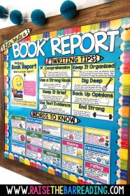 Book Report Bulletin Board Writing Display