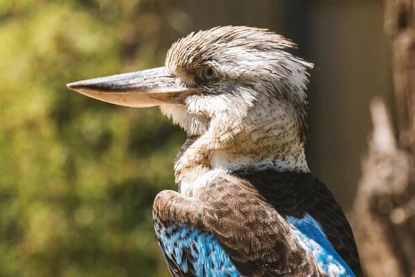 10 000+ nejlepších fotografií na téma Zvuková Kulisa · 100% bezplatné stažení · Základové fotografie Pexels
