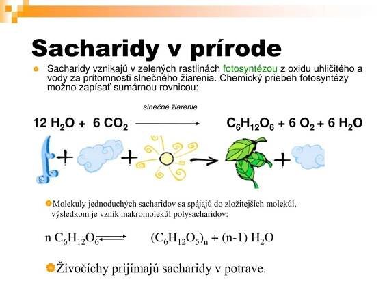 PPT - Sacharidy PowerPoint Presentation, free download - ID:4773995