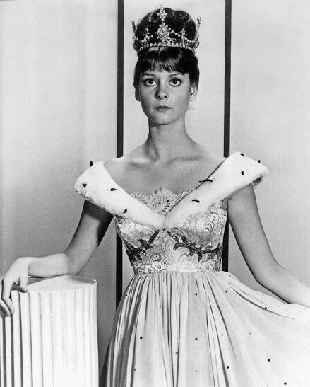 Lesley Ann Warren