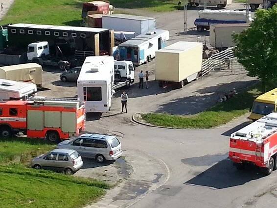Mrtvý lachtan Logan: Cirkus nechyboval! Kdo tedy za jeho smrt může?