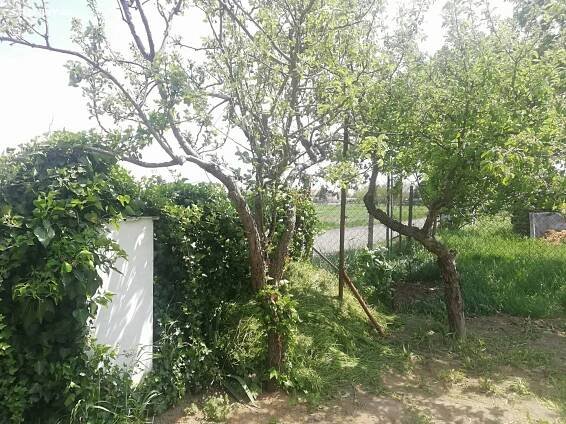 Pronájem Pozemek, Pohořelice, okres Brno-venkov