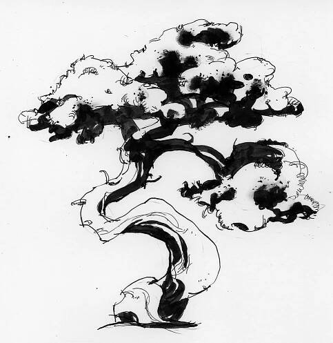 BONSAI