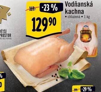 Albert Vodňanská kachna nabídka