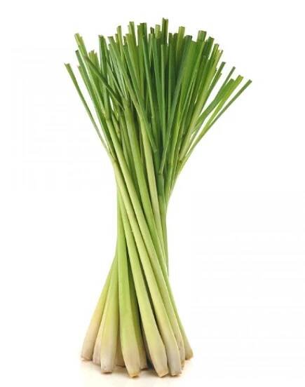 dōTERRA Citrónová tráva - Lemongrass 15 ml