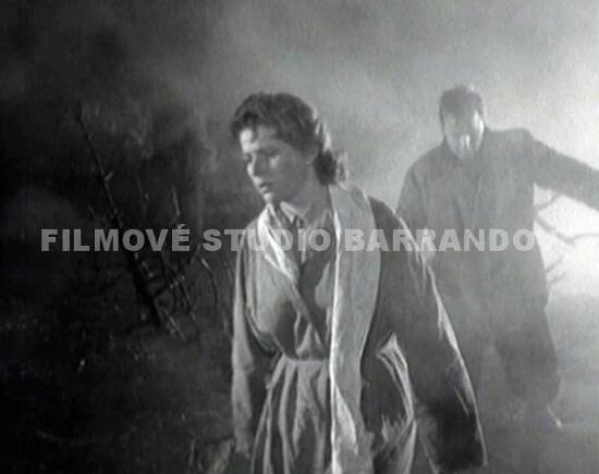 Jiřina Švorcová - film - TV - divadlo