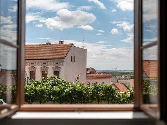 Hotel Clemar 1168486679 2