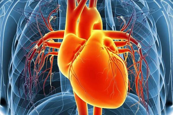 Treatments for Transthyretin Amyloid Cardiomyopathy (ATTR-CM)