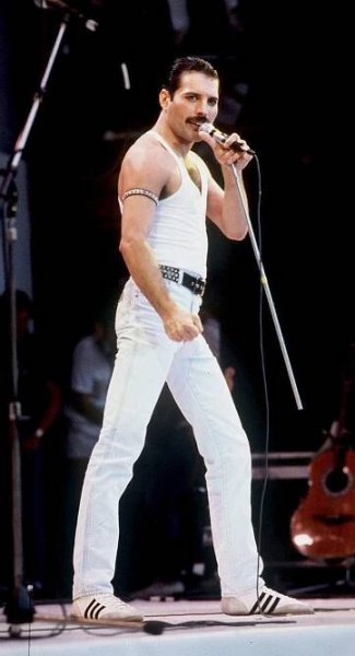 30 let bez Freddieho Mercuryho: Zpěvák Queen symbolizoval okázalou oslavu života