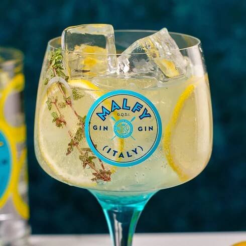 Malfy Gin Menu — Cocktail Kitchen