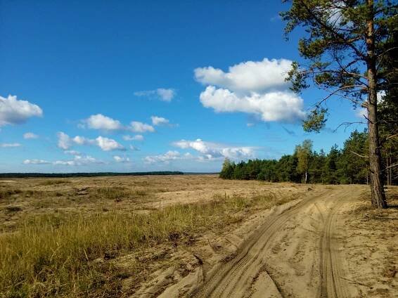 Błędowská poušť – Vyraž na výlet!