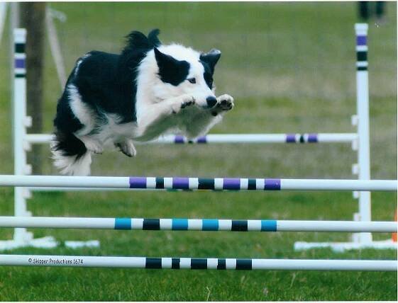 Agility