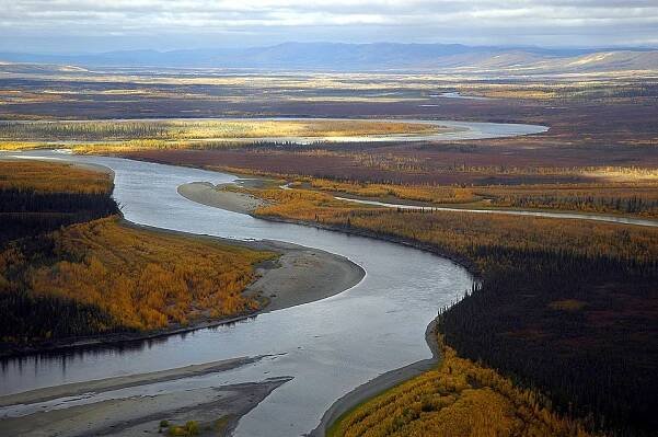 Koyukuk (řeka) – Wikipedie