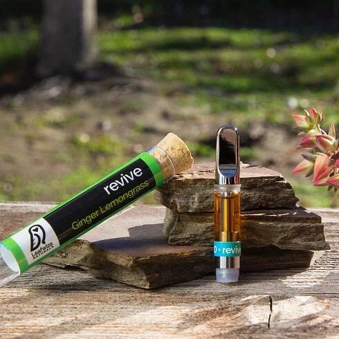 The Future of Vaping: Delta 8 Disposable Pens - CTAER