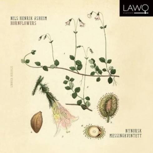 Nils Henrik Asheim - Hornflowers CD