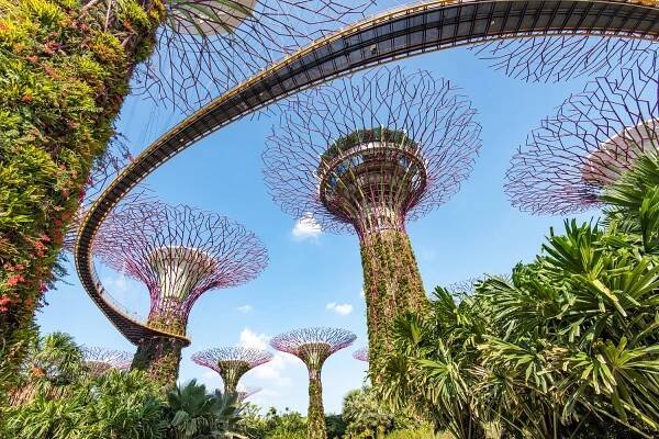 Seriál BOTANICKÉ ZAHRADY: Za botanikou do Singapuru - Florenium