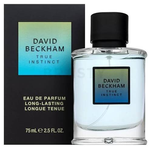 David Beckham True Instinct parfémovaná voda pro muže 75 ml