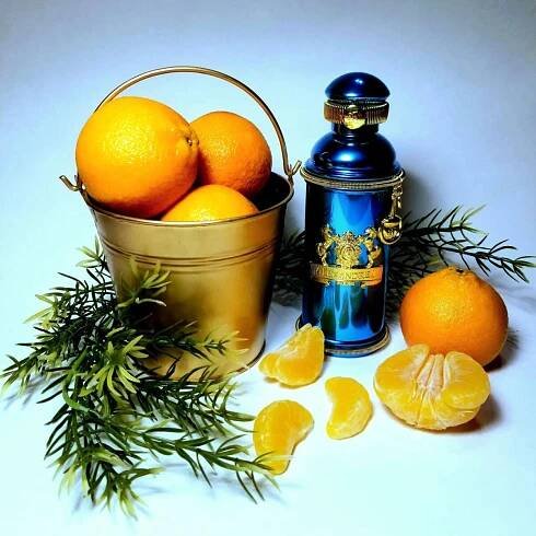 Mandarine Sultane Alexandre.J pro ženy a muže
