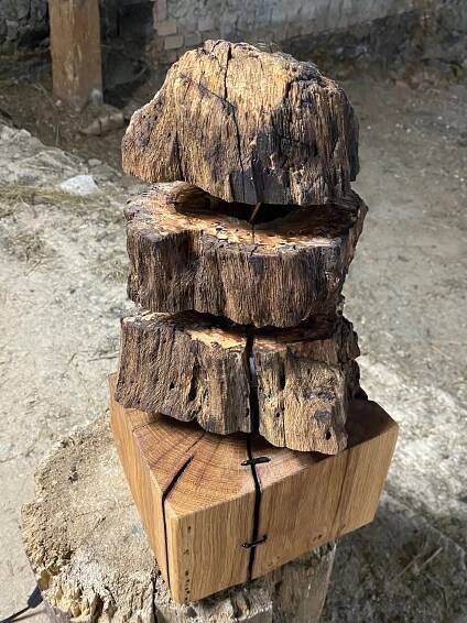 Lampa Roots Amanita